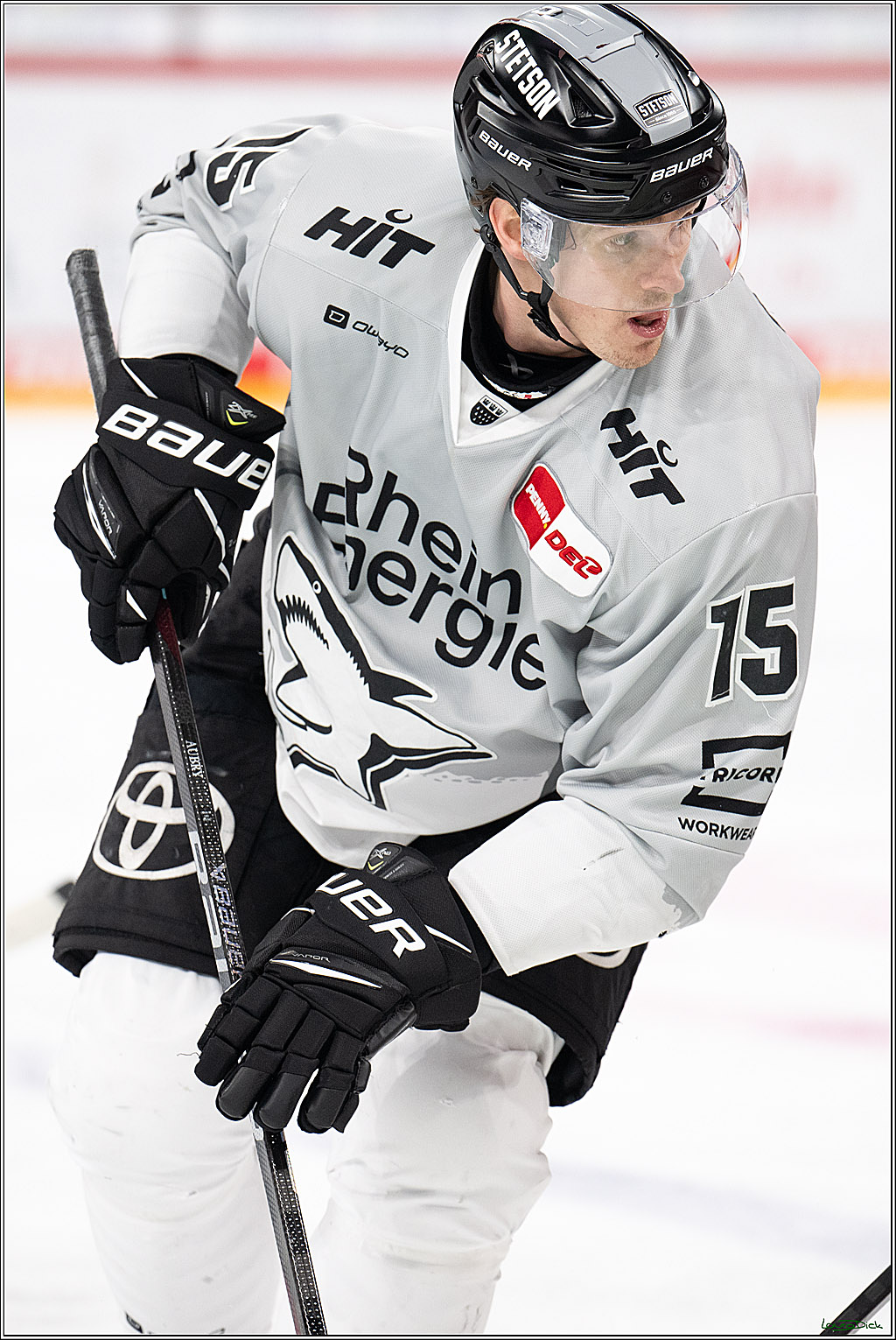 PENNY DEL; Duesseldorfer EG- Koelner Haie; Duesseldorf, 24.01.2025
